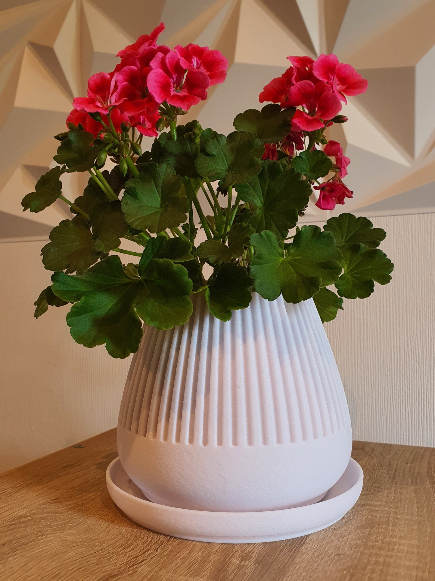 Pflanztopf "Floréa"