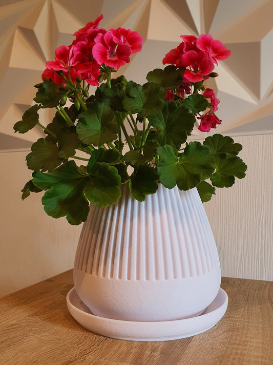 Pflanztopf "Floréa"