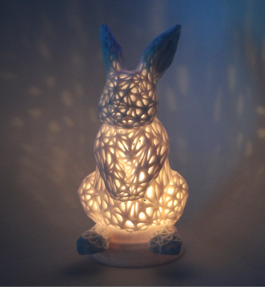 Luminous Rabbit