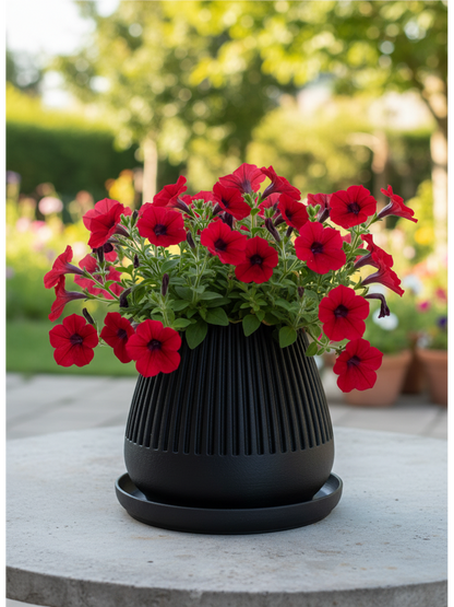 Pflanztopf "Floréa"