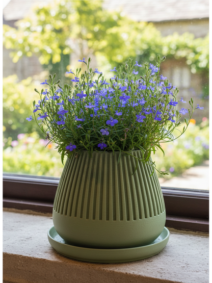 Pflanztopf "Floréa"