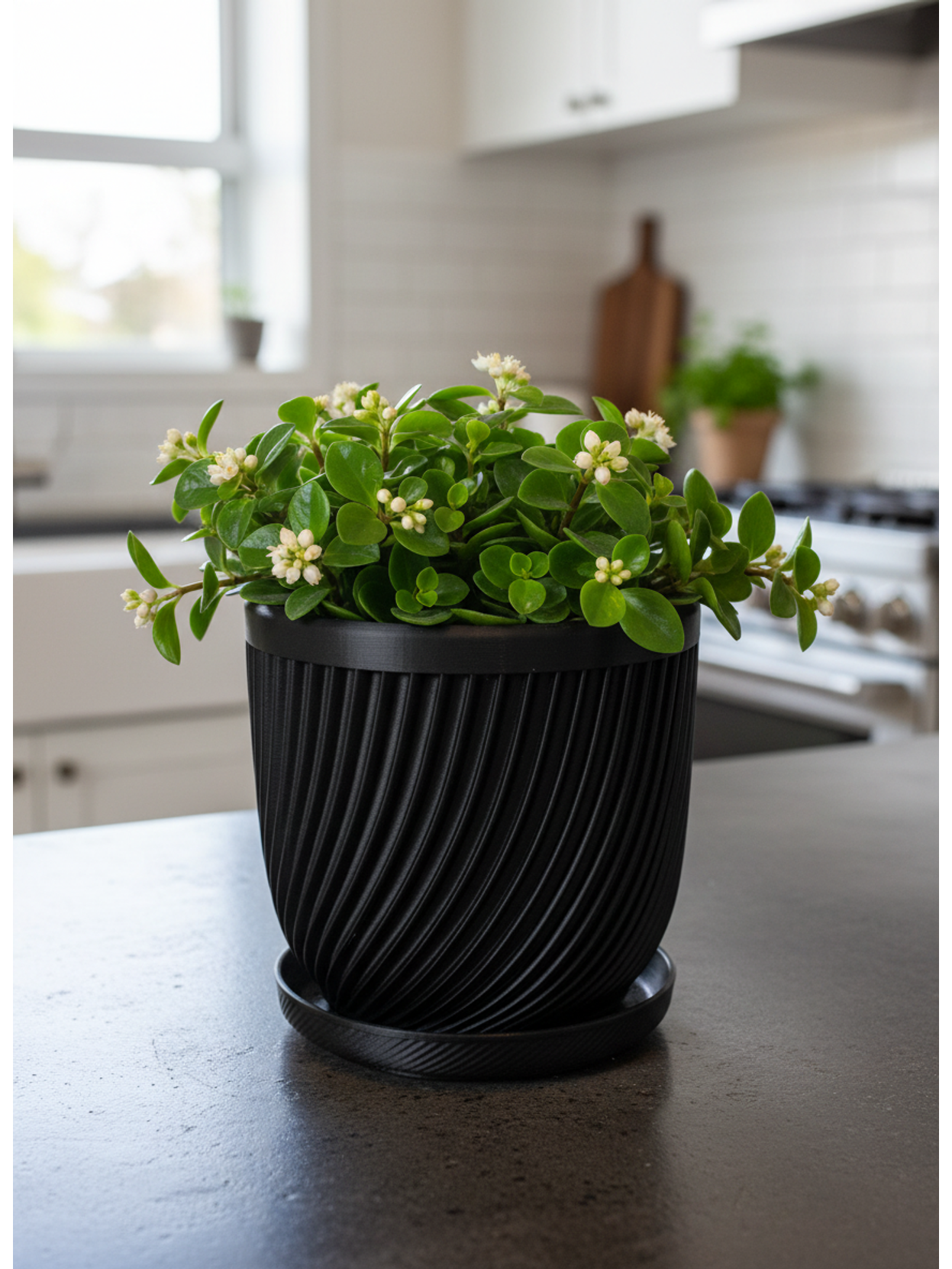 Pflanztopf  "Twist Lunari"