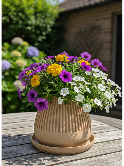 Pflanztopf "Floréa"