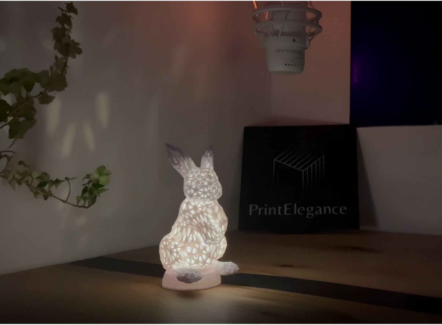 Luminous Rabbit